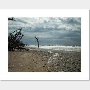 Edisto Beach South Carolina Posters and Art